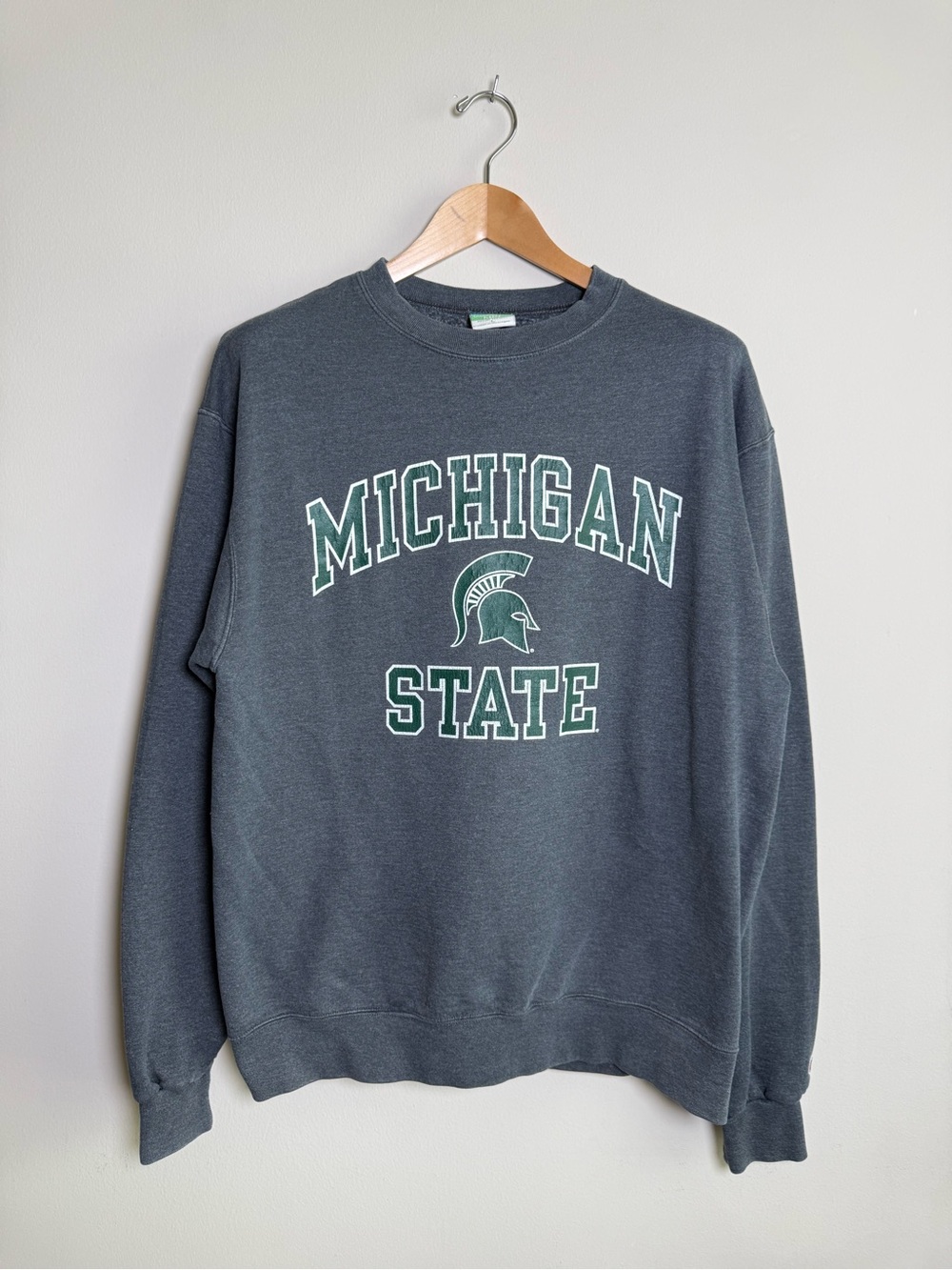 Champion Michigan State Spartans Eco Fleece Crewneck Sweatshirt Gray Large